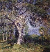 Guy Rose The Oak china oil painting artist
